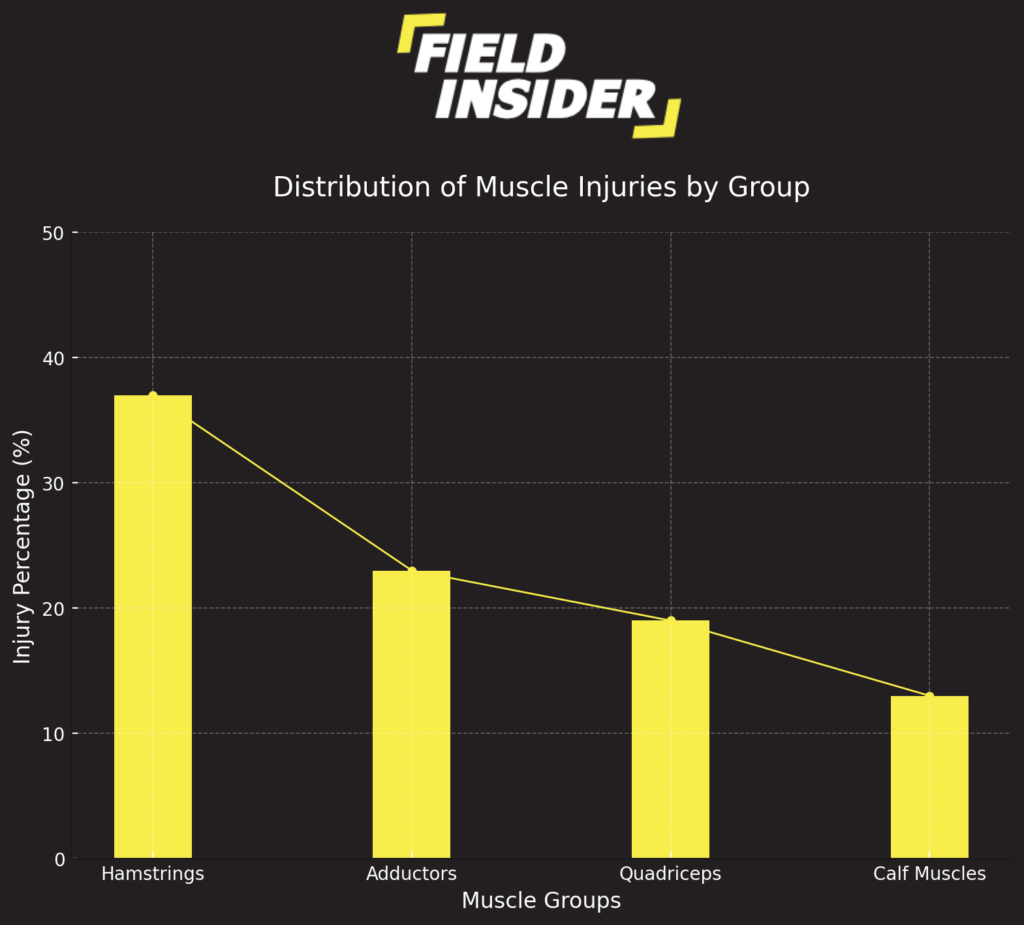 Muscle Injuries in Professional Football