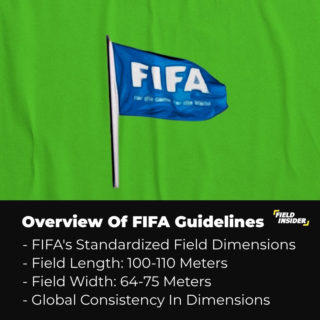 Overview of FIFA Guidelines