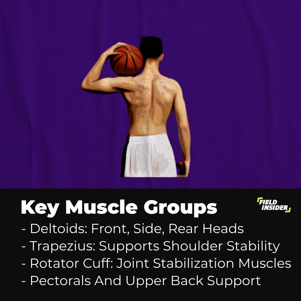 Key Muscle Groups for Bigger Shoulders